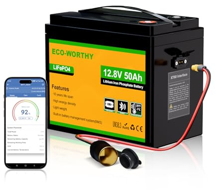 ECO-WORTHY LiFePO4 batteri 12 V 50 Ah Bluetooth BMS låg temperaturskydd och 4 000 – 15 000 cykler 640 Wh litiumbatteri för trolling-motor, båt