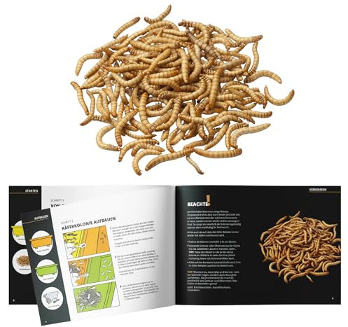 OFERA Mehlwürmer lebend, Zucht-Startkolonie [ca. 2500 STK.] + Zucht-Anleitung, Insekten als Hühnerfutter, Vogelfutter Wildvögel ganzjährig, Wachtelfutter, Mehlwürmer getrocknet selbst herstellen