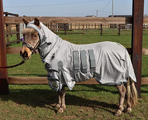 Ruggles Combo Fly Rug For Shetland Pony, Donkey, Miniature Horse | With Ear Holes | Excellent Protection From Bugs, Flies and Biting Insects (4' 9)