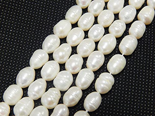 Perlin Perlas naturales de agua dulce, perlas cultivadas blancas, ovaladas, barrocas, perlas espaciadoras, perlas sueltas, conchas, color 8-6 mm