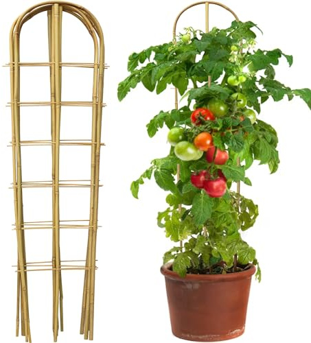 Taoskai 3 Pack 4 Feet U-Shape Bamboo Trellis, Natural Garden Bamboo Trellis for Climbing Plants, Vegetables, Cucumber, Tomato, Outdoor and Indoor Potted Plants