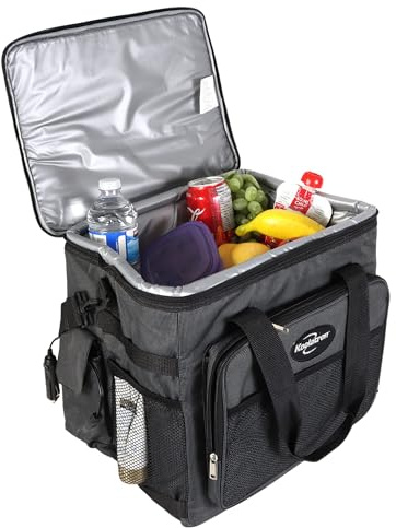 Koolatron D25 AZ Camping Cooler Bag, Black