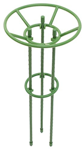 TOYANDONA Cages à pour Jardin Support De Plante Pot Tuteur De Vigne Treillis Outil De Jardinage Présentoir De Plante