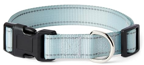 Amazon Basics - Collare Riflettente e Regolabile per Cani, con Anello a D in Metallo e Fibbia a Sgancio Rapido, Taglia L, Blu