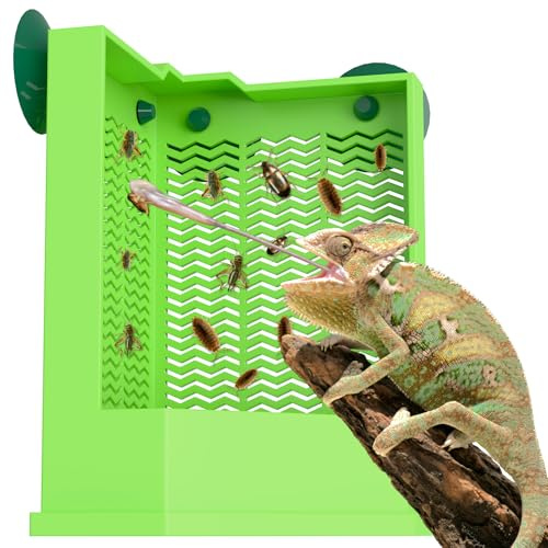 Pawfly Bearded Dragon Feeder Escape-Proof Corner Reptile Feeder Box Wall-Mounted Chameleon Feeder with Suction Cups Large Bearded Dragon Food Bowl Insect Feeder Bug Bowl for Lizards Geckos Frogs