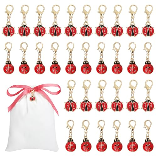 XRVRILE 32 Pezzi Portachiavi Coccinella Mini Portafortuna, 2 Design, Piccoli Ciondoli per Bomboniere Laurea, Sacchetto in Cotone Incluso, Idee Regalo Natale, Esami, Festa e Fai-da-Te