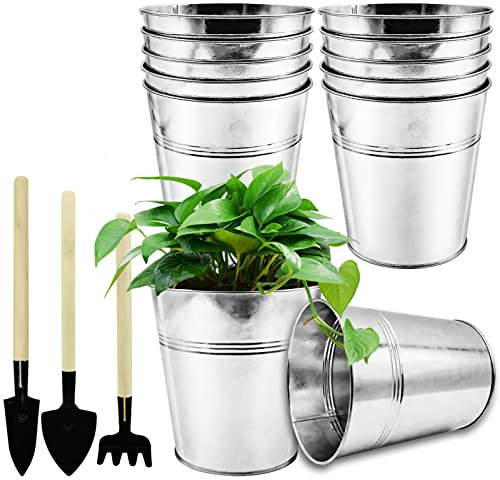 WAIZHIUA 12 x 12 cm Metall-Blumentöpfe, verzinktes Eisen, Pflanzgefäß, Pflanzgefäß mit Mini-Werkzeugen für Pflanzen, Kräuter, Blumen, Sträucher, Innen- und Außenbereich, Heimwerken