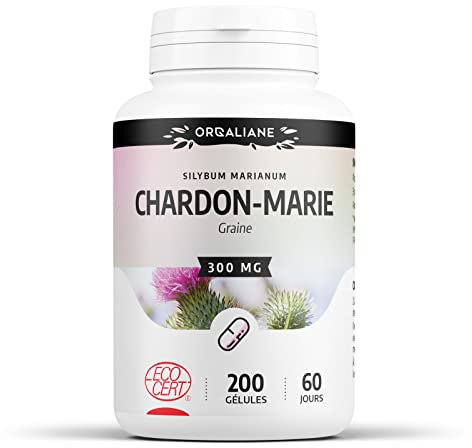 Chardon-Marie Biologique | 900 mg/jour | Silybum marianum | Certifié Ecocert | 200 Gélules