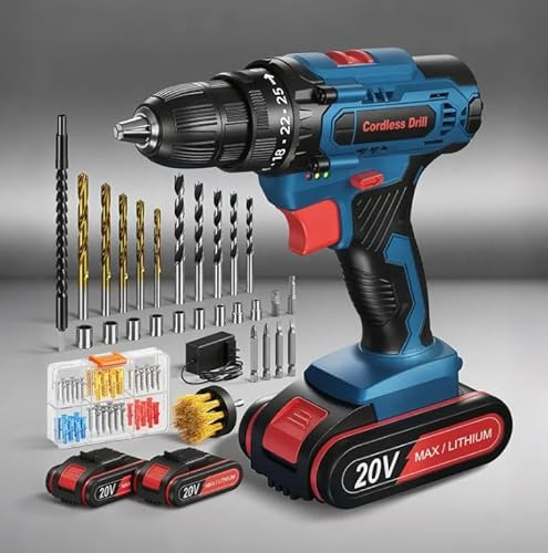 VIWKO 20V Akku Bohrschrauber Set, 25+1 Drehmomentstufen Akkuschrauber Set mit Koffer, 2-Gang, 10mm Bohrfutter, 42Nm Akkubohrer für Haus DIY