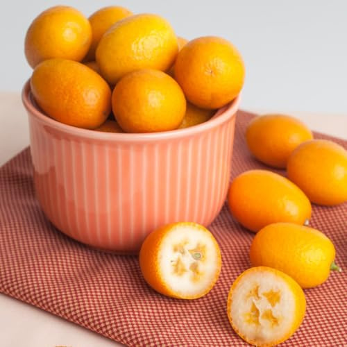 Semillas de la de kumquat - jardín enanos resistentes exóticas para lugares soleados columnares invernaderos 85pcs
