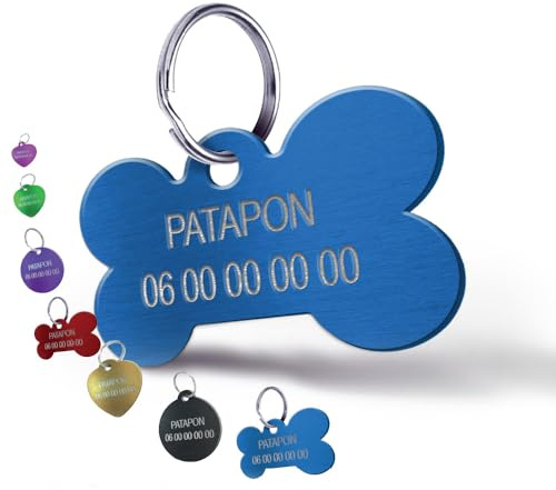 GRAVURE CONCEPT Médaille Gravée pour Chien et Chat - Petit Os-31 mm, Bleu