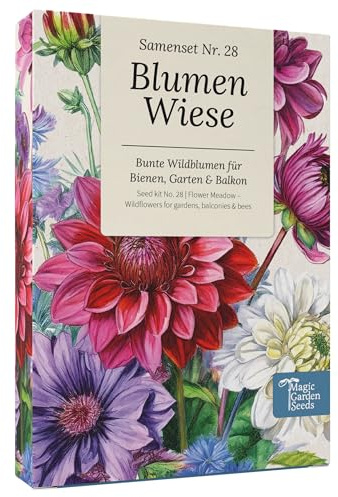 Magic Garden Seeds - Blumenwiese Samen Box mit 12 Wildblumen - insektenfreundliche & pflegeleichte Blumen für Bienen, Schmetterlinge, Garten & Balkon