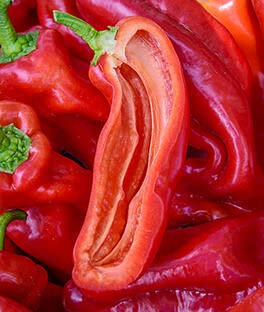 Aamish 50pcs graines de poivron doux de Rican