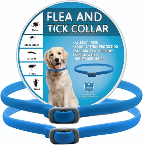 2 Pack - 8 Months Outdoor Dog Collar for Bushes and Grass, Waterproof Dog Collar for Small Medium Large Breed Puppies, One Size