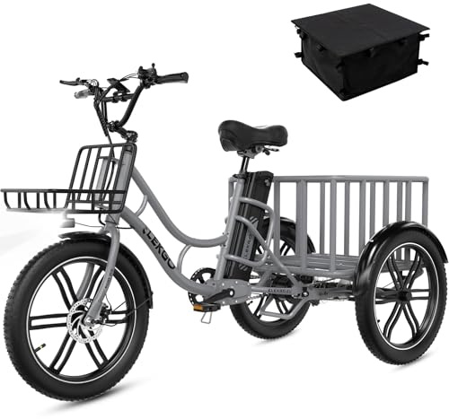 ELEKGO 20 Zoll E Bike Dreirad, 48V 18AH abnehmbare Batterie, NFC-Entriegelung, Vorwärts- und Rückwärtsgang, mit Fettreifen, Scheinwerfer, Lastenfahrrad, Tragfähigkeit 200 kg
