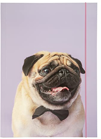 Folia 69002 - Carpeta A3 Basic Puggy Love, de cartón Resistente con Banda elástica