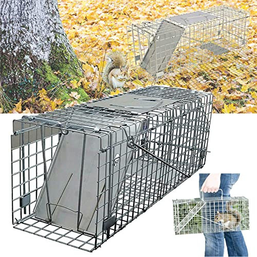Humane Rat Trap Live Catch Mouse Cage Trap Large Folding Animal Trap Cage, Outdoor Garden Collapsible Multipurpose Humane Trap for Live Catch Rabbits, Squirrels, Mink, Feral Cat, Vermin, 24x7.5x8.3