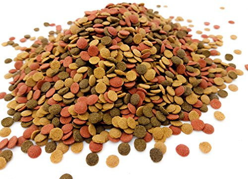 HERONS - Mini Wafer Mix - 5 mm Sinking Wafers with Spirulina - For All Bottom Feeding Fish - Rich in Vitamin C and Fiber - Immune Support - Enhance Colour and Improves Digestion - 200 Grams