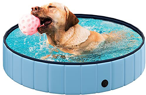 REXOO Hundepool Swimmingpool Hunde Pool Faltbar Hundebad Doggy Plantschbecken Becken Blau ø120 x 30 cm