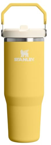 STANLEY IceFlow 2.0 Flip Straw Tumbler with Handle 30 oz | Twist On Lid and Flip Up Straw | Leakproof Water Bottle | Insulated Stainless Steel | BPA-Free | Daffodil