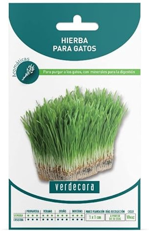 SEMILLAS HIERBA PARA GATOS VERDECORA