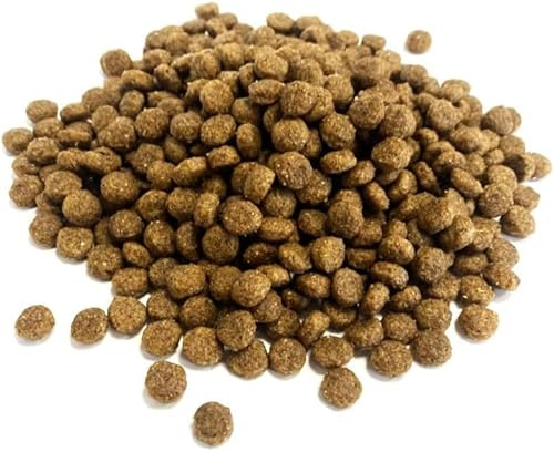 Premium Complete Hedgehog Food 1.5kg Complete Food XLW