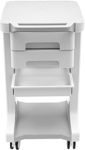 banborba Chariot médical portable avec 2 tiroirs - Chariot de salon de beauté avec roues - Chariot de coiffeur - Chariot de travail avec compartiment de rangement - 41 x 41 x 67 cm (gris)