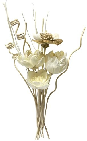 TELAIN Raumduft Diffusor Set mit 5 Sticks Aus Natürlichen Materialien für Wohnzimmer Schlafzimmer Badezimmer Büro Dekoration