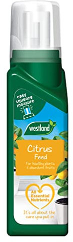 Westland Citrus Tree Feed Concentrate, 200 ml
