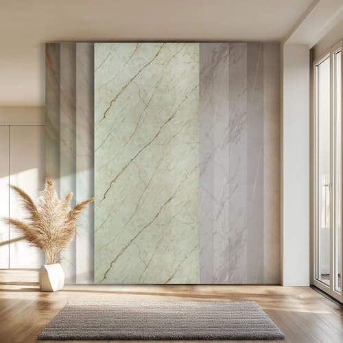 HEXIM Wandpaneele XXL Granit-/ Marmoroptik 280x122cm robuste Wandverkleidung aus Kunststoff - TV Wandverkleidung Wohnzimmer modern (1 Paneel / 3,42 m² Modell - 8088)