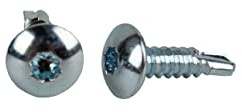 Trailer Exterior Self Tapping Screws OEM #10 x 3/4 Enclosed Car Hauler Self Tapping Screws/Self Tapping Sheet Metal Screws-150 Pack