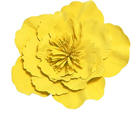 YOUNAFEN Cerchietto grande con fiori per donne, cappello fascinator con fiori, grande fascia per capelli con fiori, fascia per capelli fascinator, copricapo per costume