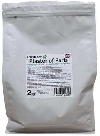2kg Bag - Trustleaf Plaster of Paris - Fine Casting Plaster