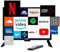 BLUGY Smart TV 21,5 Zoll LED HD 12 V 1920 x 1080 Pixel, Travel TV, ideal für Fahrzeuge, Wohnwagen, LKW, Boot, integrierter Lautsprecher Disney + Netflix Youtube [Energieeffizienzklasse A]