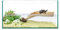 ICA Kit Tortuguera Isla 40 Reptiselva 1000 g