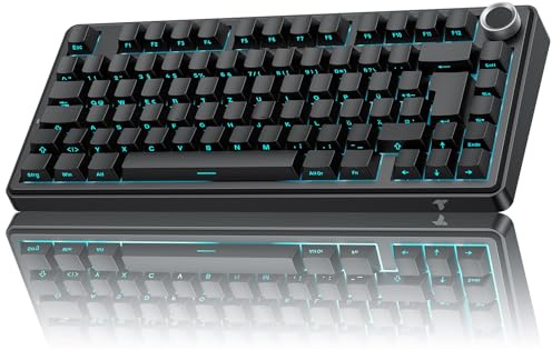 TECURS Gaming Tastatur Mechanische | 75% Hot-Swap Sideprinte Tastatur Kabellos Rote Achse Gasket Mount, PBT, RGB, Creamy MK209 Keyboard (2.4G/BT/Type C) – Für Gamer Setup (DE-ISO (Schwarz))