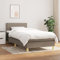 Baziroo Boxspringbett mit Matratze Stoff Polsterbett mit Matratze Bedroom Furniture Hotelbett Upholstered Bed Schlafzimmerbett Boxbett Taschenfederkernmatratze Double Bed Taupe 100x200cm
