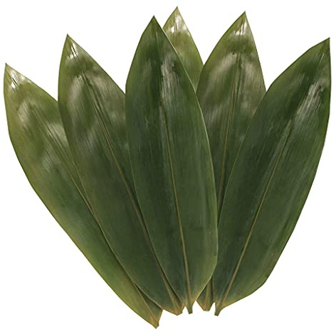 Zongzi - Kit per creare foglie di bambù naturale essiccate per vari scopi e alimenti, 100 foglie ecologiche per gnocchi