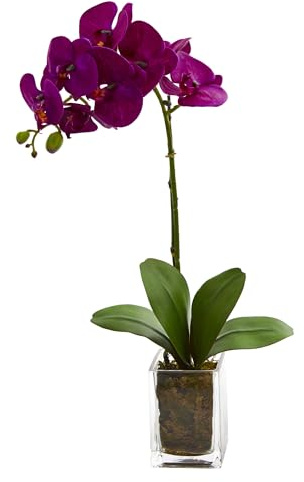 Nearly Natural 20in. Orchid Phalaenopsis Artificial Arrangement in Vase
