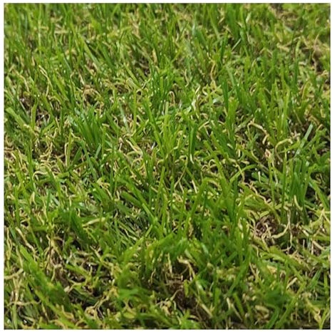 Rollo de Césped Artificial de 18 mm (2_X_3_Metros)