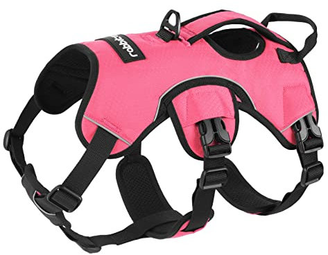 rabbitgoo Ausbruchsicheres Hundegeschirr Mittelgroße Hunde mit Griff, Anti Zug Sicherheitsgeschirr Hund Atmungsaktiv, Verstellbare Brustgeschirr, Gepolstertem Hundeweste, Panikgeschirr, Rosa M