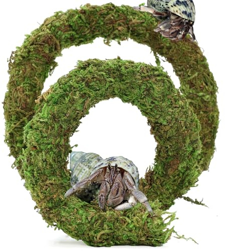USMOLA Bendable Hermit Crab Climbing Toys, Adjustable Fake Moss Vine for Pet Snail Hermet Crab Habitat Hideouts Tank Terrarium Accessories (Natural Green, 20Inch)