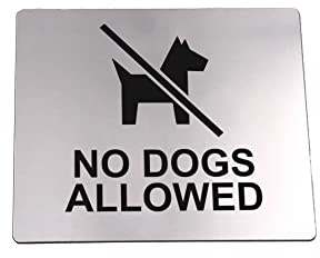 'No Dogs Allowed' skylt självhäftande klistermärke meddelande, metalliskt silver graverad svart med universell ikonsymbol och text (storlek 12 cm x 10 cm)
