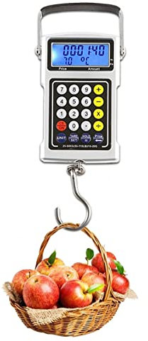 OUSIKA Bilancia sospesa digitale 50KG / 110LB Bilancia da pesca portatile con display LCD Mini bilancia digitale for frutta, verdura, bagagli Bilancia