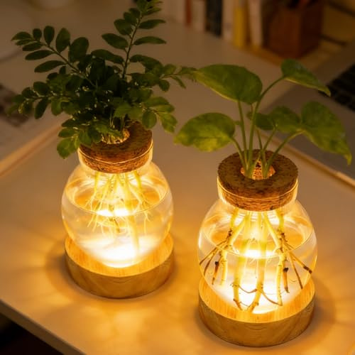 2 jarrones iluminados de cristal LED para flores, estación de propagación de plantas con base de madera, 3 modos de luz, 3 niveles, iluminación LED regulable, hidropónica, estación de propagación para