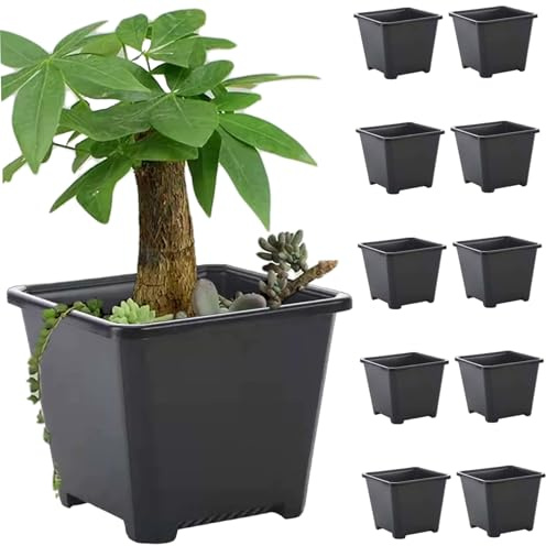 10 Macetas Cuadradas para Vivero, Macetas de Jardín de Plástico Liviano, Cuadradas Gruesas para Plantas, Contenedores para Plantas de Flores, Jardinería para Interiores y Exteriores, Vegetales, Sucul
