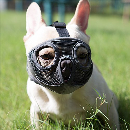 JYHY Maulkorb für Hunde mit abgeflachter SchnauzeFranzösische Bulldogge Maulkorb -verstellbar, atmungsaktiv: Französische Bulldogge, Pekingese, Shih-Tzu, Mops (Grau, M(28-43cm))