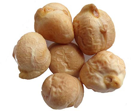 Pois Chiche Twist Bio - 20 graines - Cicer Arietinum - SEM06