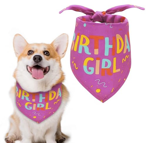 Banda de cumpleaños para Perro, Bandana Triangular para cumpleaños de niña, Suministros para Fiestas de cumpleaños de Mascotas, Bandana de cumpleaños para niñas pequeñas, Gatos y Perros (Morado)