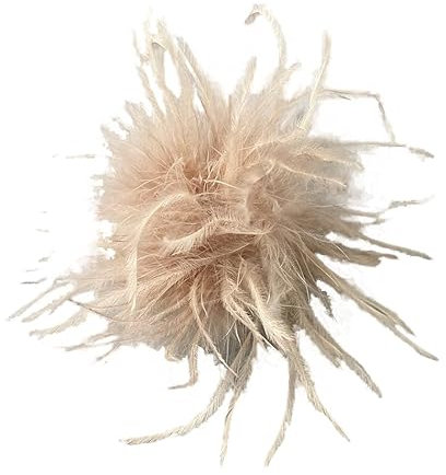 Federbrosche für Damen,Flauschige Straußenfeder Brosche Haarclip Braut Hochzeit Kopfschmuck Brosche Pin Haar Accessoire Fascinator Kopfbedeckung für Mädchen Frauen Geburtstag Hochzeit Party Strand